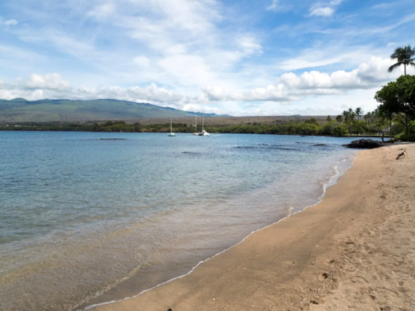 Puako Top-Floor Three Bedroom Penthouse Pool Ocean Views - Beachfront Best Island Snorkeling